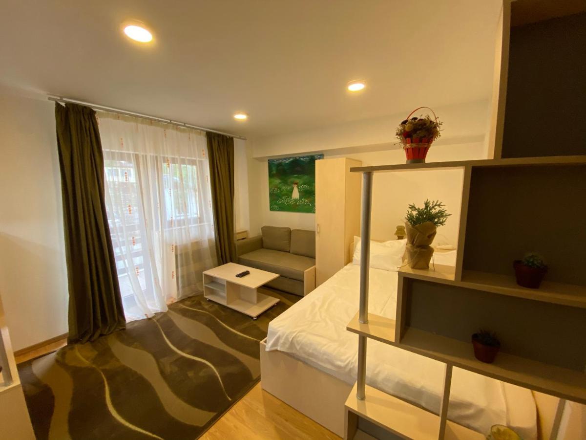 Sinaia Chic Minisuite Mirage-Self Check-In&Free Parking 외부 사진