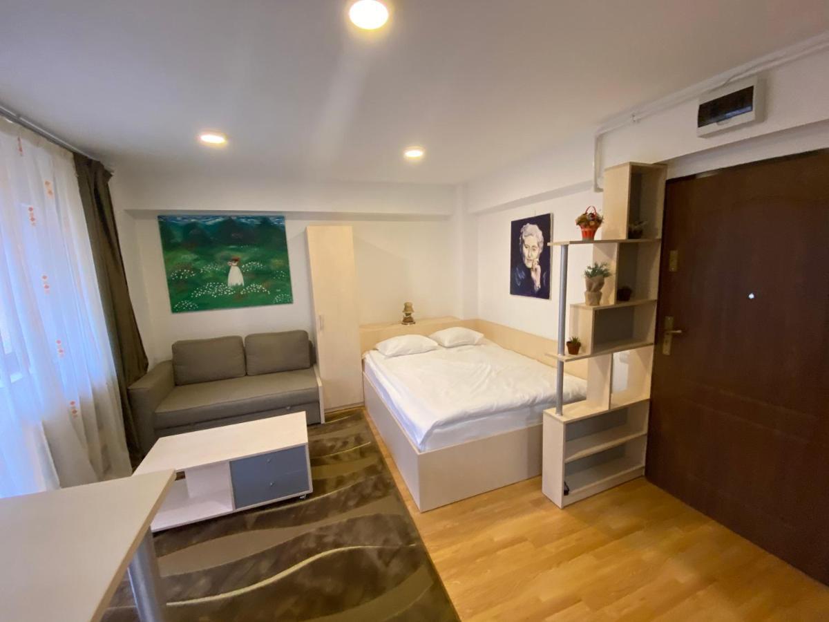 Sinaia Chic Minisuite Mirage-Self Check-In&Free Parking 외부 사진