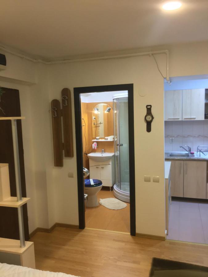 Sinaia Chic Minisuite Mirage-Self Check-In&Free Parking 외부 사진